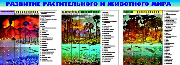 К-0003