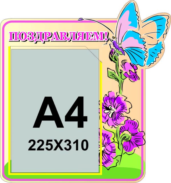 П-0008