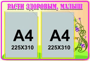 С-0024