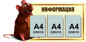 С-0033